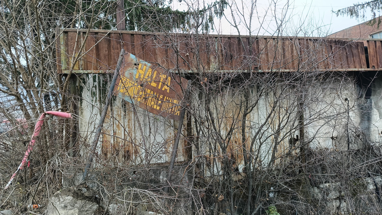 IMG-20241204-WA0008