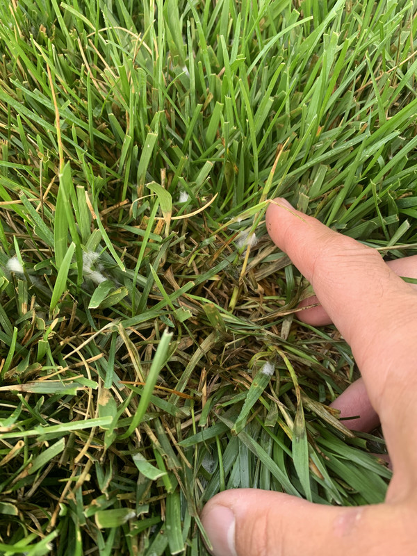 32228BB1-3283-4228-B8A7-F45F8A564DC6