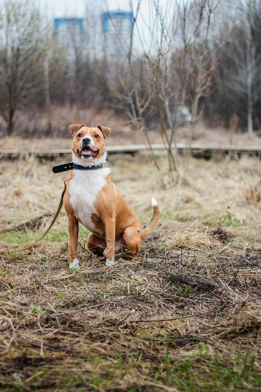 без имени-1213