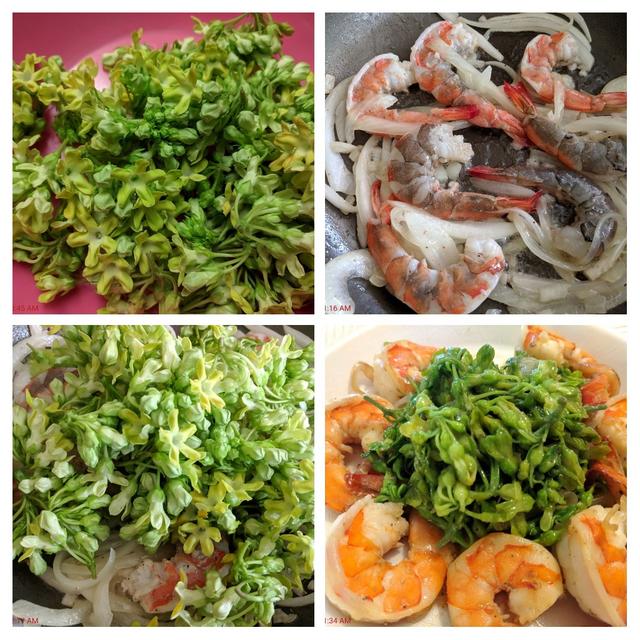 [Image: 20190502-114423-COLLAGE.jpg]