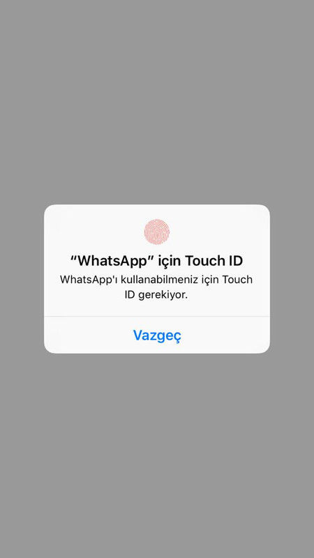 whatsapp için touch id