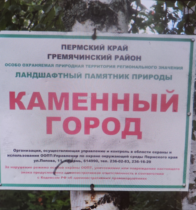 IMG-20230705-121300.jpg
