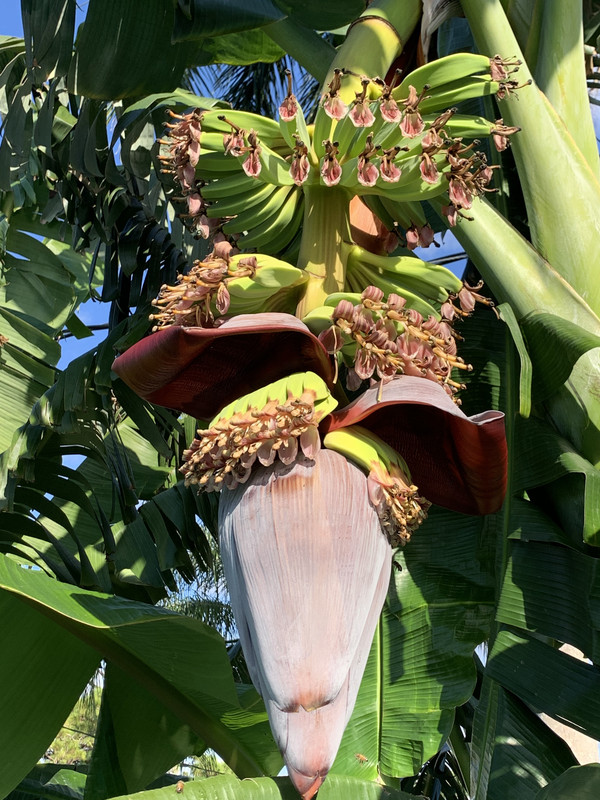 A9918C5A-126B-47D3-8234-CB4E7BDD83AC