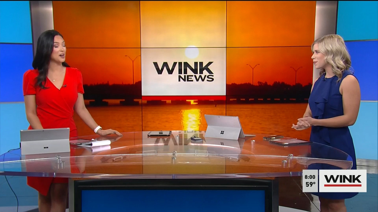 01.31 - 11.00.00 - WINK News @ 6 00AM Sunday. Local news, sports and ....ts_snapshot_01.54.582