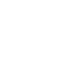 Live Chat