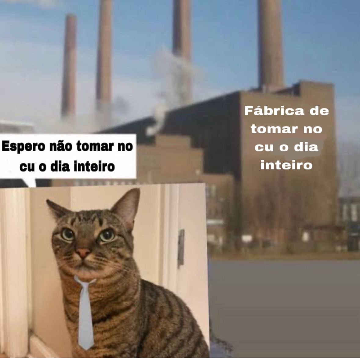 Espero não tomar no cu o dia intero fábrica de tomar no cu logo atrás