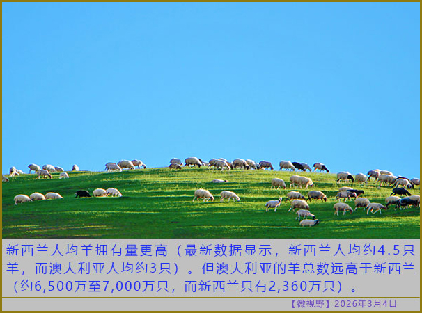 https://i.postimg.cc/3xYb4TSp/20260304-sy-(5).jpg