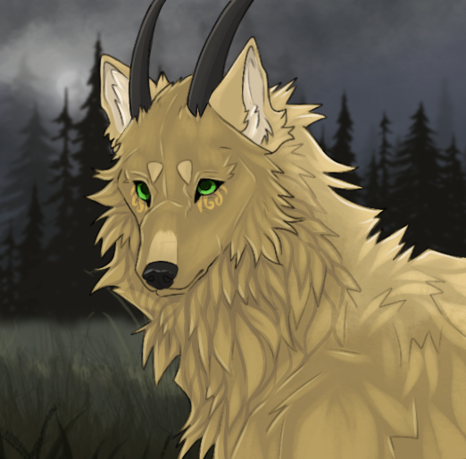 IMG-4086.png