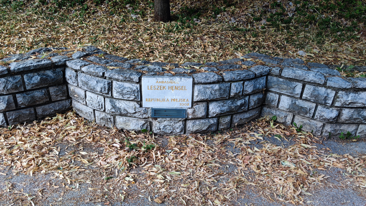 [Obrazek: IMG-20210714-181849.jpg]