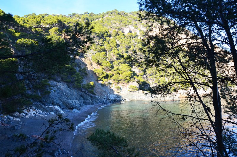 CALA SA TUNA Y SEA POOL-21-11-2017 - Gerona y sus pueblos-2016/2017 (22)