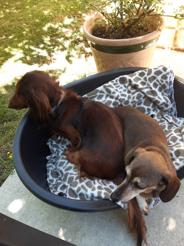 [Image: 20200707-130342.jpg]