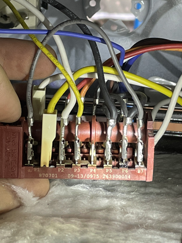 721120E8-A11B-4F9E-AD36-F3F1CE9CEB7B