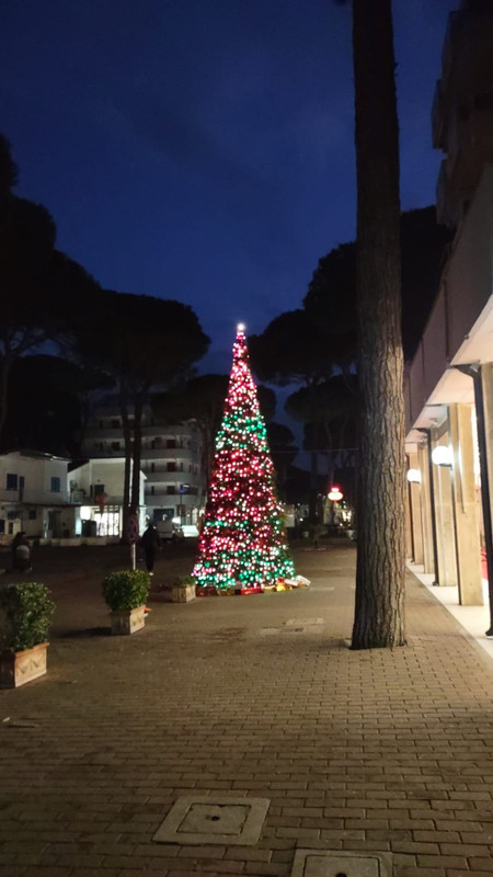 07485F7D-ADDF-4207-886D-B76841D418E8