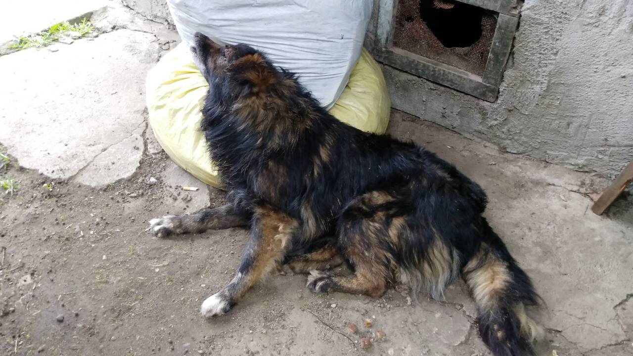 7D518CA0-9A92-45BA-9A4E-87D2331A6226