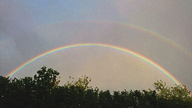 [Image: D-c-s-arc-en-ciel-5.jpg]