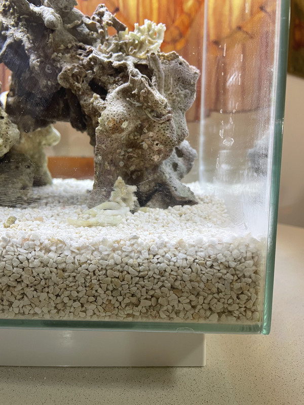 3459E04B-77D6-484F-98AA-6E00CFFCF455