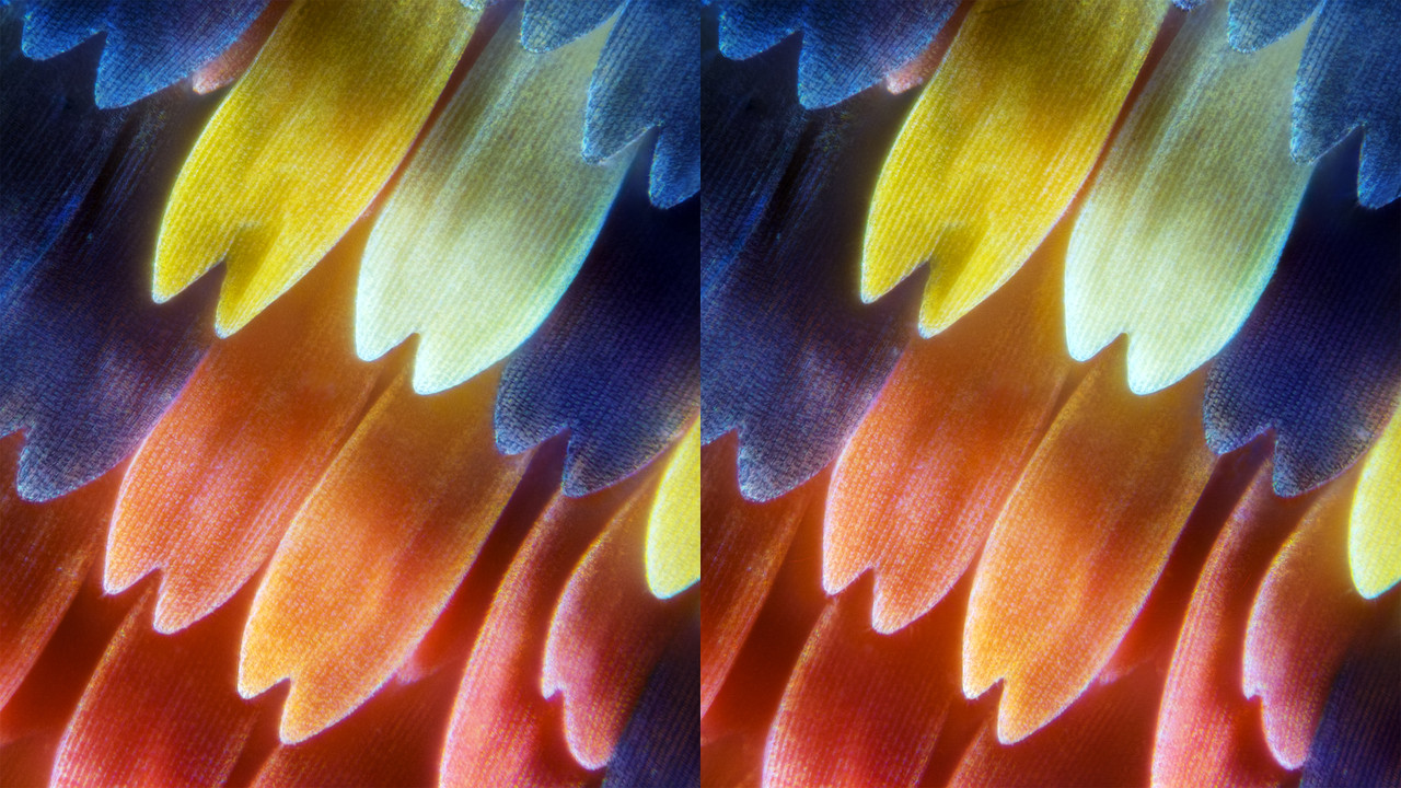 Stereo 2 6 Cross TPnd 4K
