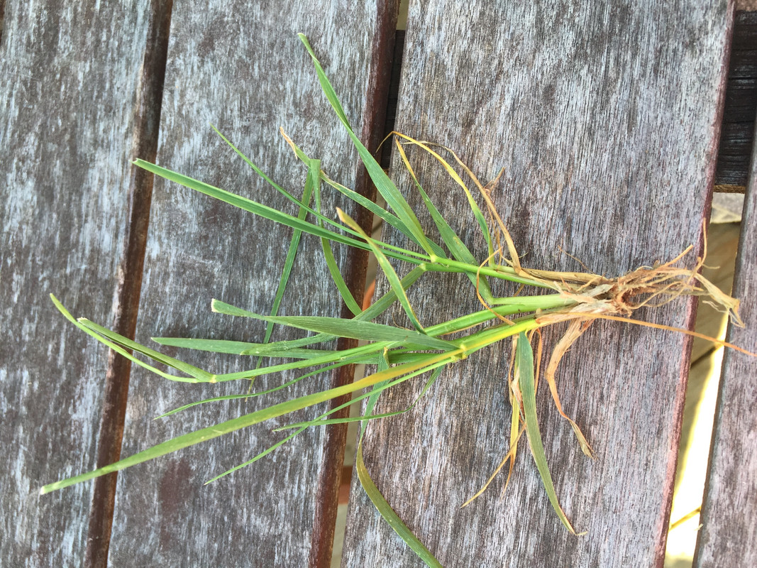 File May 04, 14 47 57