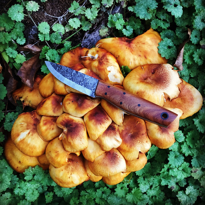 43CB9E26-1470-4ECF-BA09-27B41C19A640