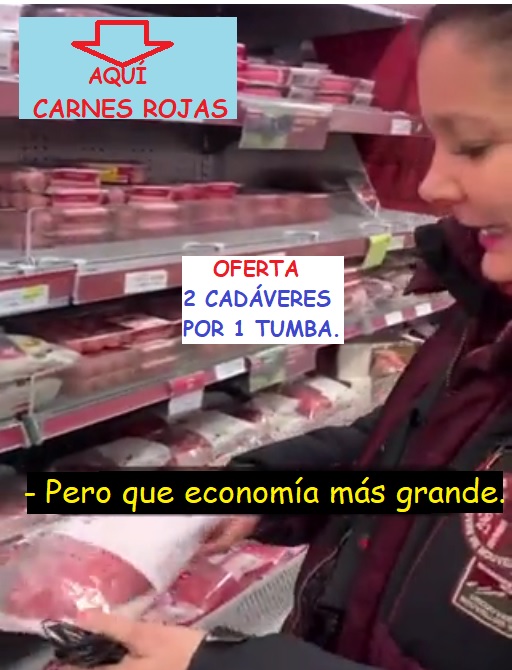 ECONO-tulo.jpg