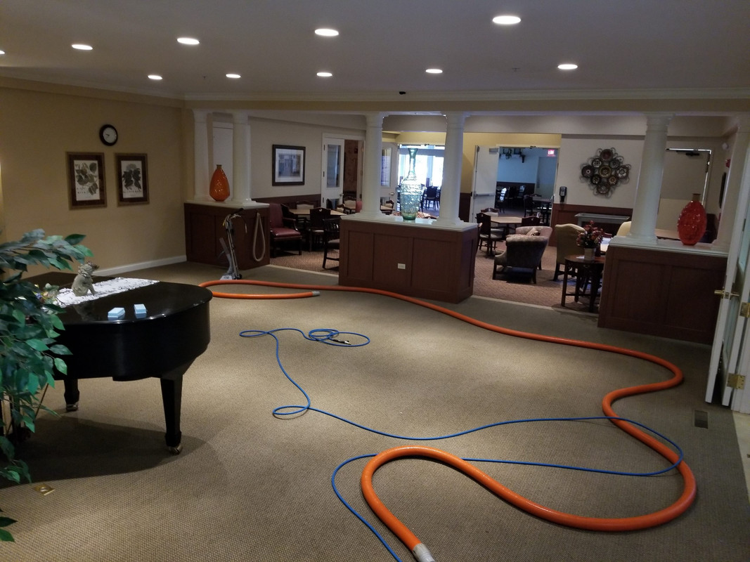 hard surface cleaning (5)