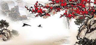 [Image: 4957c3f197626de.jpg]