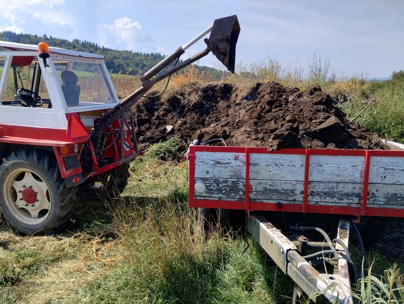 IMG_20240903_122353903_HDR