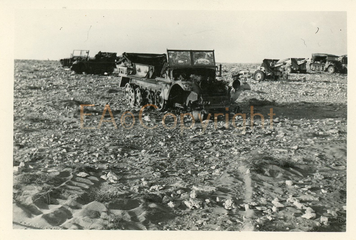 Sd.Kfz. Halbkette Kämpfe DAK Afrika Afrikakorps 