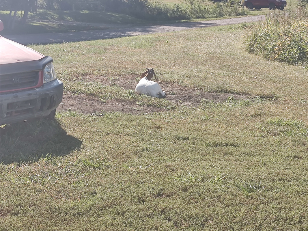 IMG_20240920_100658859