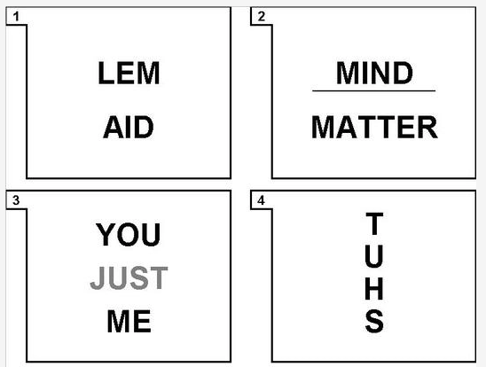 100 pics quiz dingbats