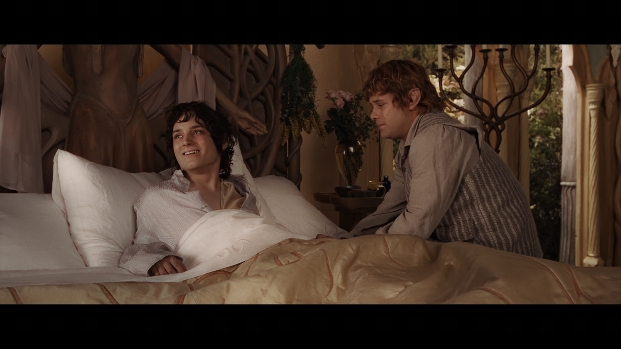 The Lord of the Rings- The Fellowship of the Ring (EXT.) PT. 1.mkv_snapshot_01.26.28_[2020.12.05_22.