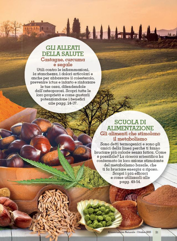 Alim Nat Ott 2023 (2)