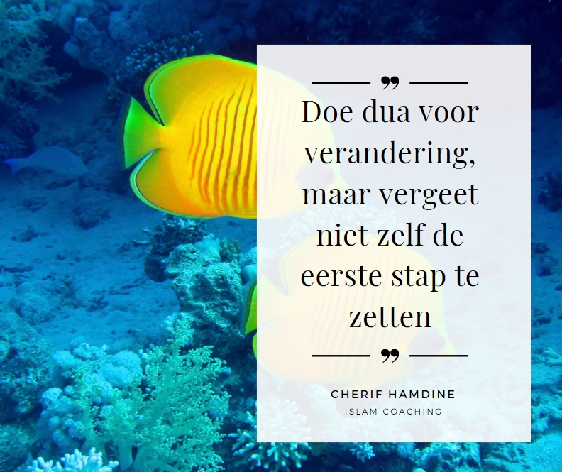 Schermopname-26-2-2025-83924-www-canva-com