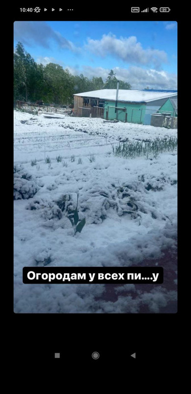 Screenshot_20220604-161149_Telegram