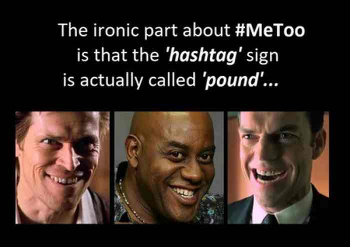 l-19943-the-ironic-part-about-metoo-is-that-the-hashtag-sign-is-