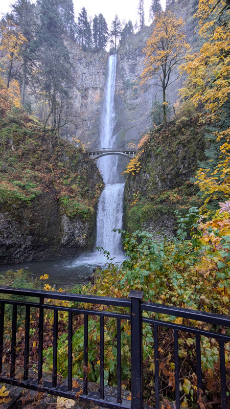 PXL 20251108 184703460