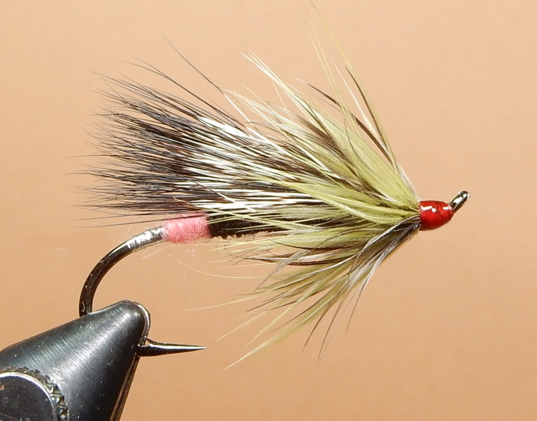 Pack-Rat-1080.jpg
