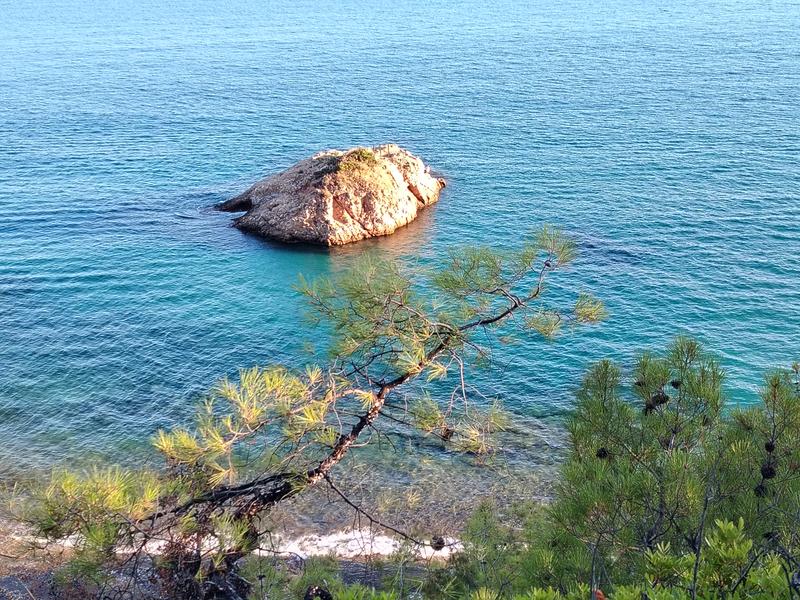 Slika