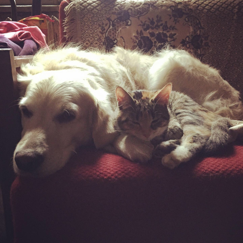 54165F2F-965A-4598-A5D2-2860B4CAF9AE