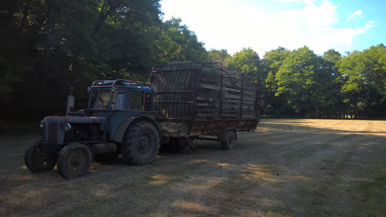 13416785_1345695282113193_2873963962738799924_o