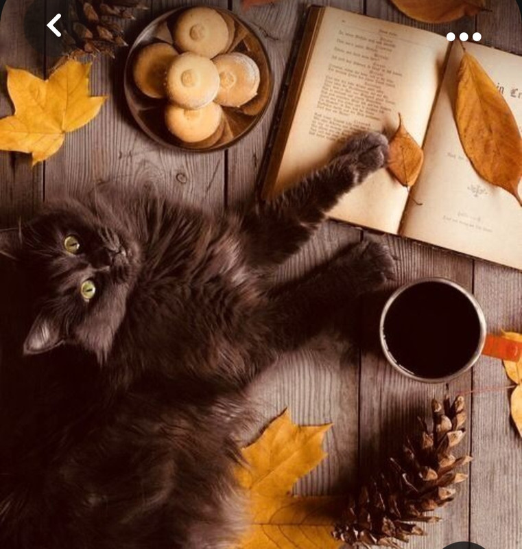 Screenshot_20231008_221326_Pinterest