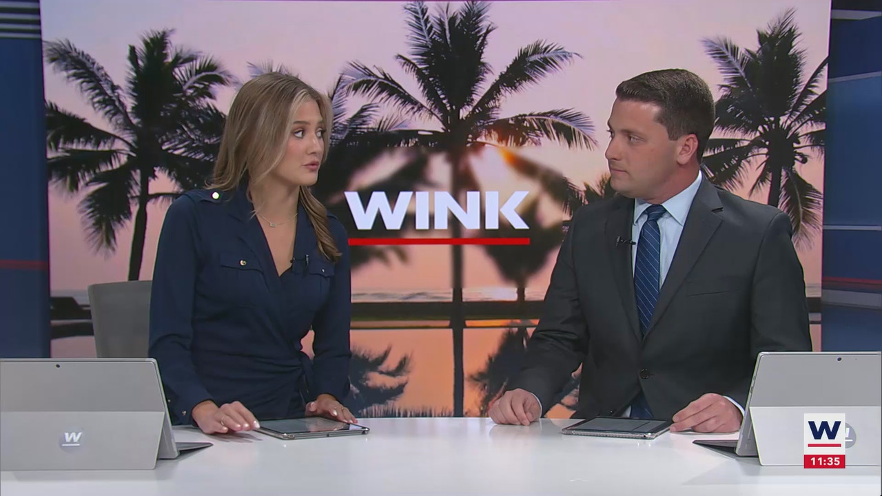 07.14 - 16.30.00 - WINK NEWS at 11 30am  ᴺᵉʷ. Midday news..ts_snapshot_11.59.489