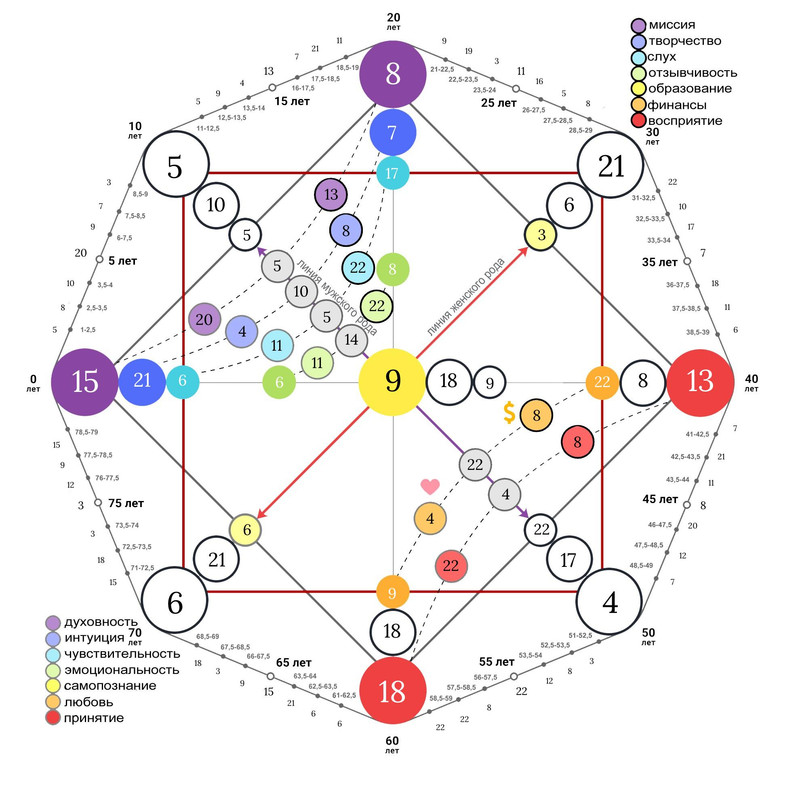 совмест ольга илья
