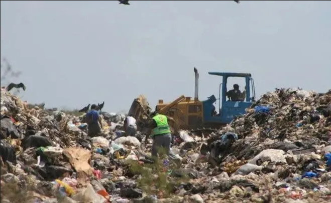 Encuentran restos de recién nacido en estado de descomposición en tiradero