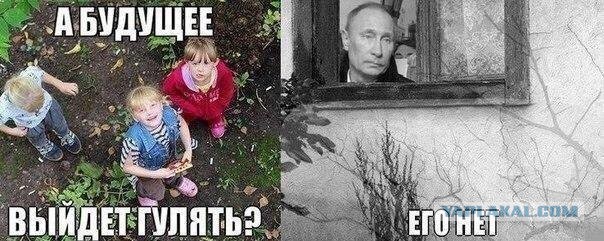 13698784