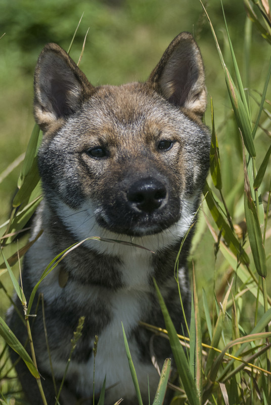 B02E6302-3F25-4042-B00E-9299F6578236