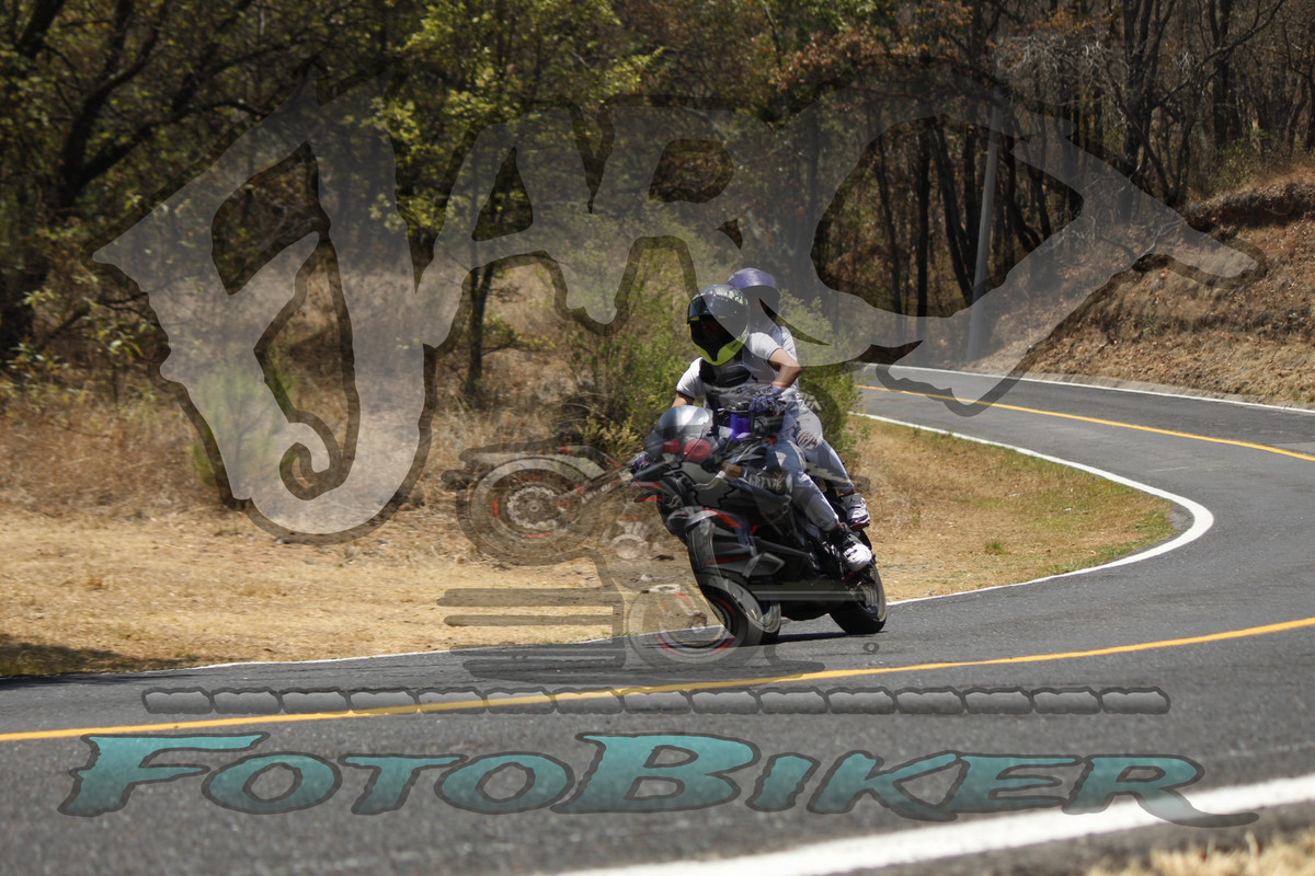 MG 0370 — Postimages