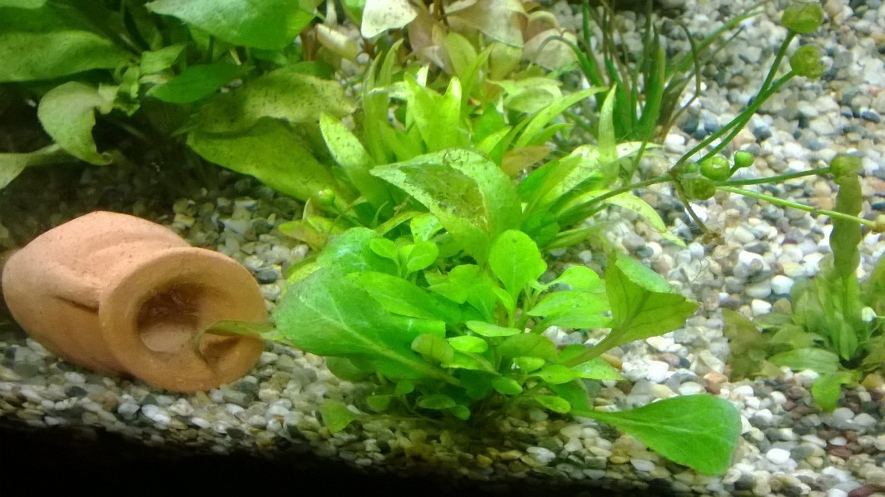 WP_20140217_003 (FILEminimizer)