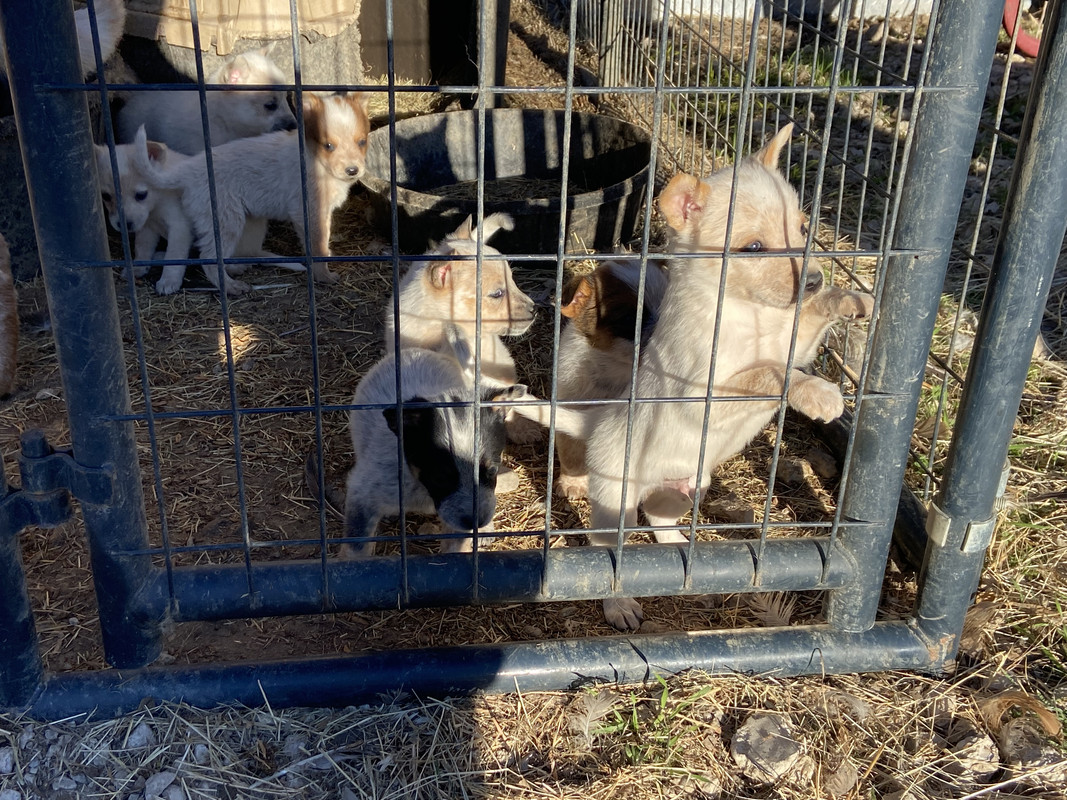 113385EA-FD6D-4685-9B72-ED4236C510C8