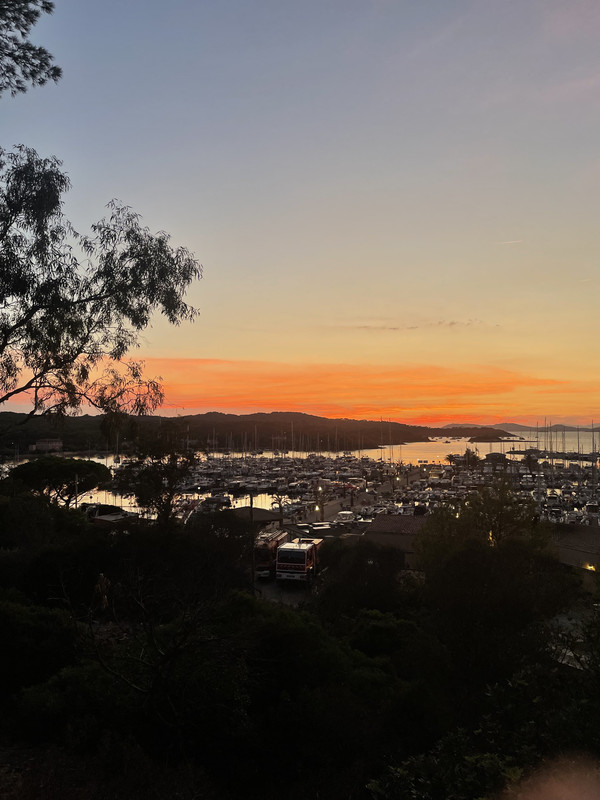 463E9CB5-25D3-4A31-9CE9-0CB68E635A0B